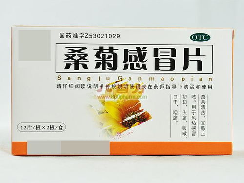 家中常备的12种风热感冒中成药